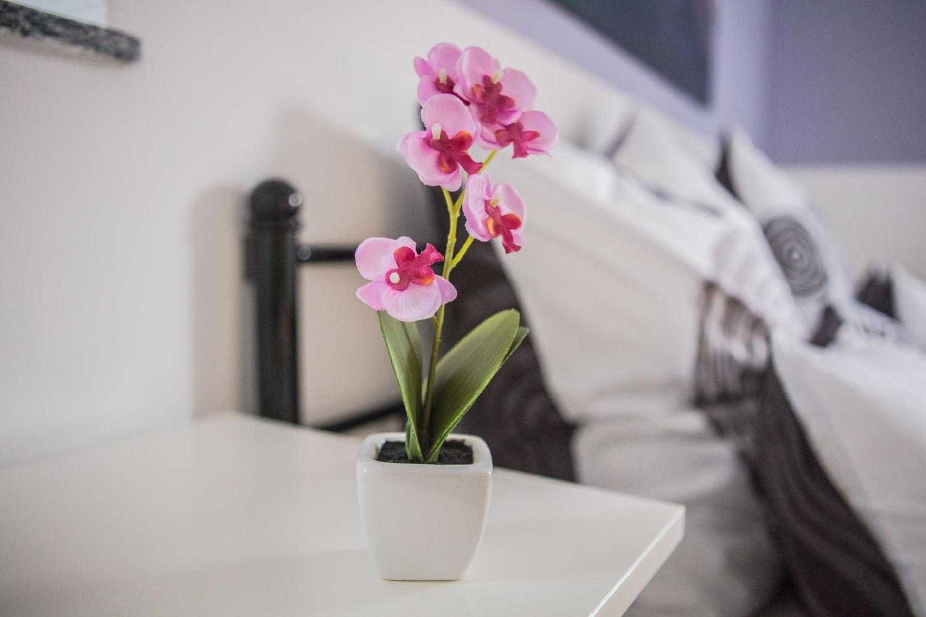 Ferienwohnung Leipzig Sued Markkleeberg Extérieur photo